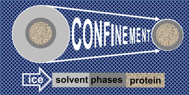 Graphical abstract: Confinement dependence of protein-associated solvent dynamics around different classes of proteins, from the EPR spin probe perspective