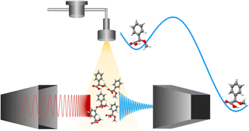 Graphical abstract: The many forms of alpha-methoxy phenylacetic acid in the gas phase: flexibility, internal dynamics, and their intramolecular interactions