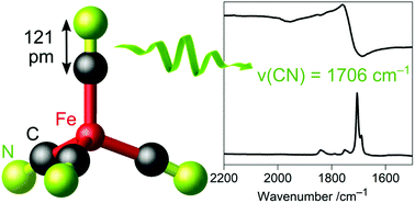 Graphical abstract: Non-innocent cyanido ligands: tetracyanidoferrate(–ii) as carbonyl copycat