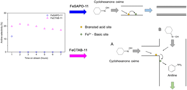 Graphical abstract: Pinpointing basic sites formed upon incorporation of iron in hierarchical SAPO-11 using catalytic model reactions