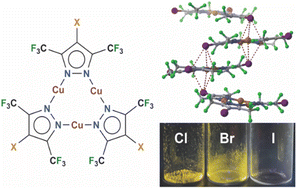 Graphical abstract: Relativistic modulation of supramolecular halogen/copper interactions and phosphorescence in Cu(i) pyrazolate cyclotrimers