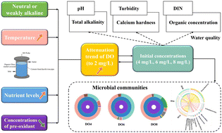 Graphical abstract: Effects of dissolved oxygen on water quality and biofilms in the raw water distribution pipeline for a reserved water source