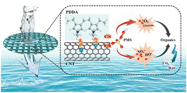 Graphical abstract: Enhanced electro-peroxymonosulfate activation using a carbon nanotube filter with a functionalized polyelectrolyte