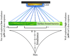 Graphical abstract: Low-irradiance inactivation kinetics of Escherichia coli during prolonged exposure to ultraviolet-C radiation