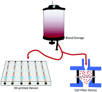 Graphical abstract: A 3D-printed transfusion platform reveals beneficial effects of normoglycemic erythrocyte storage solutions and a novel rejuvenating solution