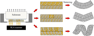 Graphical abstract: Rationally-designed self-shaped ceramics through heterogeneous green body compositions