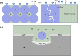 Graphical abstract: Recent research advances on corrosion mechanism and protection, and novel coating materials of magnesium alloys: a review