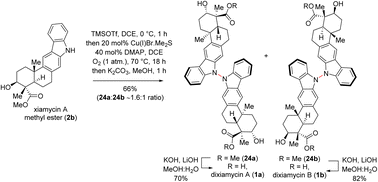 Graphical abstract: Total synthesis of atropisomeric indolosesquiterpenoids via N–N bond formation: dixiamycins A and B