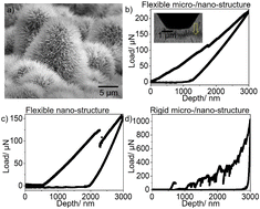 Graphical abstract: A critical review on robust self-cleaning properties of lotus leaf