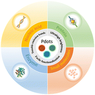 Graphical abstract: Semiconducting polymer dots as fluorescent probes for in vitro biosensing