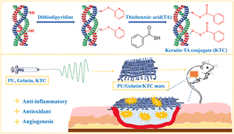 Graphical abstract: Hydrogen sulfide-releasing polyurethane/gelatin/keratin–TA conjugate mats for wound healing