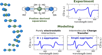 Graphical abstract: A marvel of chiral squaraine aggregates: chiroptical spectra beyond the exciton model