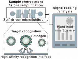 Graphical abstract: Recent development of nanotechnology-empowered antigen assay methods for the control of infectious diseases