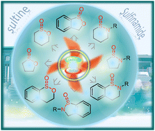 Graphical abstract: Recent advances in the synthesis of cyclic sulfinic acid derivatives (sultines and cyclic sulfinamides)