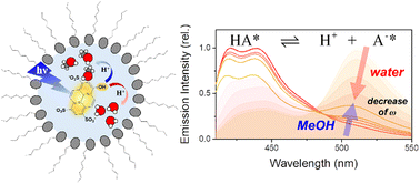 Graphical abstract: Anomalous proton transfer of a photoacid HPTS in nonaqueous reverse micelles