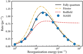 Graphical abstract: Exciton dynamics from the mapping approach to surface hopping: comparison with Förster and Redfield theories