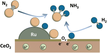 Graphical abstract: Li-intercalated CeO2 as an ideal substrate for boosting ammonia synthesis