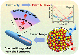 Graphical abstract: Flexoelectricity in hydroxyapatite for the enhanced piezocatalytic degradation of phenanthrene in soil