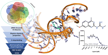 Graphical abstract: Structure-based virtual screening of unbiased and RNA-focused libraries to identify new ligands for the HCV IRES model system