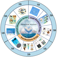 Graphical abstract: Overview of the design of bionic fine hierarchical structures for fog collection