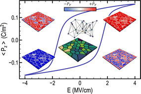Graphical abstract: Ultrafast and accurate prediction of polycrystalline hafnium oxide phase-field ferroelectric hysteresis using graph neural networks