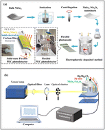 Graphical abstract: Two dimensional NbSe2/Nb2O5 metal–semiconductor heterostructure-based photoelectrochemical photodetector with fast response and high flexibility