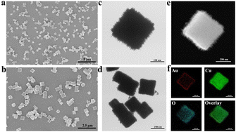 Graphical abstract: A noble metal-enhanced Au@CuO heterostructure with multienzyme-mimicking activities for colorimetric detection of tannic acid