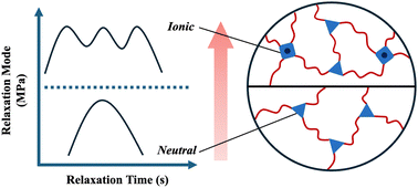 Graphical abstract: Multiple energy dissipation modes in dynamic polymer networks with neutral and ionic junctions