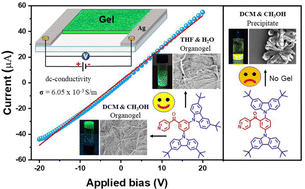 Graphical abstract: Single-component TADF gels: study of the positional isomer effect on gelation and morphological effect on conductivity