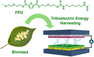 Graphical abstract: Polyurethanes synthesized using biomass-derived furan diols as sustainable triboelectric materials
