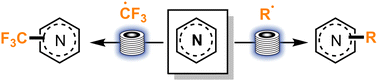 Graphical abstract: Recent developments in the photoredox catalyzed Minisci-type reactions under continuous flow