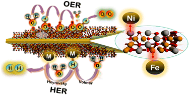 Graphical abstract: NiFe2O4: harnessing catalytic potential in water splitting