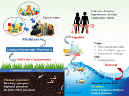 Graphical abstract: Plasticizers: distribution and impact in aquatic and terrestrial environments