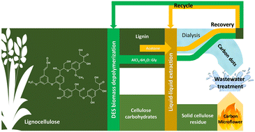 Graphical abstract: Deep eutectic solvent-assisted dual valorization of waste distillers' grain-derived lignocellulose: pyrolyzed hydrochar microflower-supported peroxymonosulfate activation and lignin carbon dot-aided Fe3+ detection