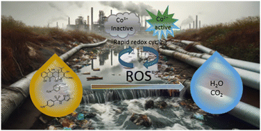 Graphical abstract: Unleashing the power of cobalt pyroborate: superior performance in sulfate radical advanced oxidation processes