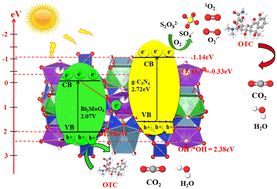 Graphical abstract: Synergistic effect of the heterojunction g-C3N4/Bi2MoO6/clinoptilolite to enhance the photocatalytic degradation of antibiotics in water in the presence of persulfate