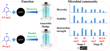 Graphical abstract: Effect of nanoscale zero-valent iron (nZVI) on performance and microbial succession in anaerobic sludge under prolonged exposure to chloroxylenol