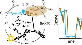 Graphical abstract: Arctic tropospheric ozone seasonality, depletion, and oil field influence