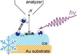 Graphical abstract: Uptake of ammonia by ice surfaces at atmospheric temperatures
