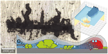 Graphical abstract: A review of filiform corrosion and its prevention on polymer-coated aluminium alloys