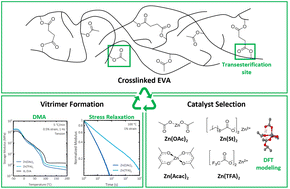 Graphical abstract: Vitrimerization of crosslinked poly(ethylene-vinyl acetate): the effect of catalysts