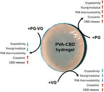 Graphical abstract: Design, characterization, and release profile of a cannabidiol (CBD)-rich polyvinyl alcohol hydrogel