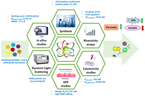 Graphical abstract: Novel sulfonamides unveiled as potent anti-lung cancer agents via tumor pyruvate kinase M2 activation