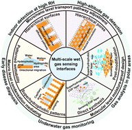 Graphical abstract: Bioinspired multi-scale interface design for wet gas sensing based on rational water management