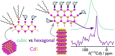 Graphical abstract: Passivation, phase, and morphology control of CdS nanocrystals probed using fluorinated aromatic amines and solid-state NMR spectroscopy