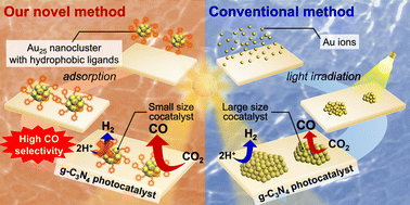 Graphical abstract: Activation of photocatalytic CO2 reduction by loading hydrophobic thiolate-protected Au25 nanocluster cocatalyst