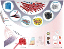 Graphical abstract: Synergistic integration of MXene nanostructures into electrospun fibers for advanced biomedical engineering applications