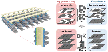 Graphical abstract: Concealable physical unclonable function generation and an in-memory encryption machine using vertical self-rectifying memristors