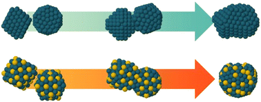 Graphical abstract: Coalescence-induced shape transformations in Pd and AuPd clusters