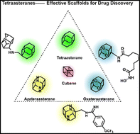 Graphical abstract: Tetraasteranes as homologues of cubanes: effective scaffolds for drug discovery